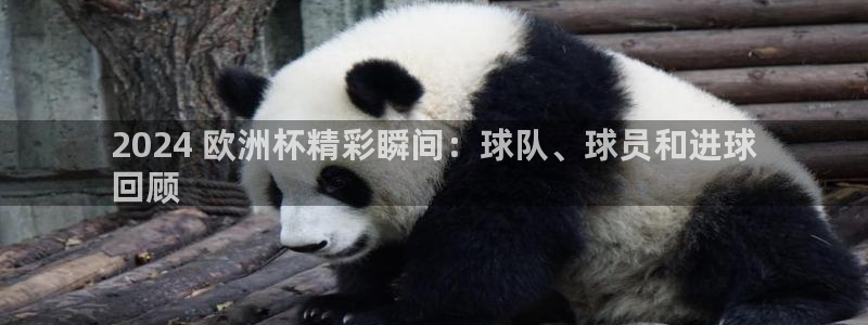 欧洲杯下单平台官网网址：2024 欧洲杯精彩瞬间：球队、球员和进球
回顾