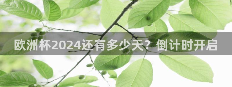 欧洲杯下单平台官方网站：欧洲杯2024还有多少天？倒计时开启
