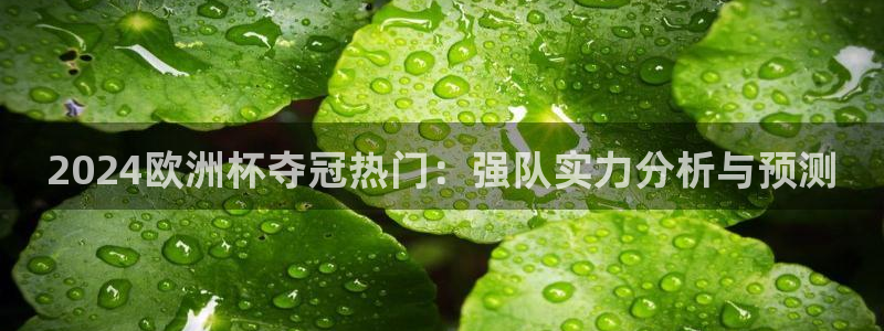 欧洲杯下单网址|2024欧洲杯夺冠热门：强队实力分析与预测