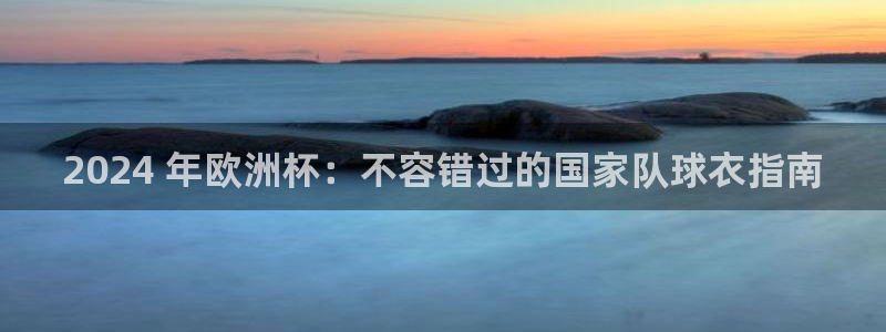 欧洲杯押注入口|2024 年欧洲杯：不容错过的国家队球衣指南