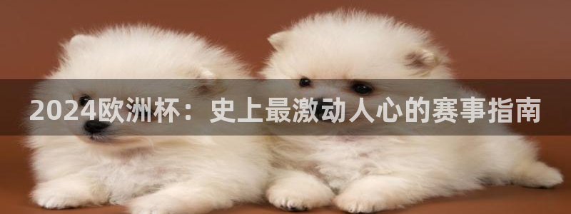 欧洲杯下单平台|2024欧洲杯：史上最激动人心的赛事指南