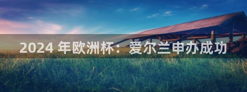 welcome欧洲杯|2024 年欧洲杯：爱尔兰申办成功