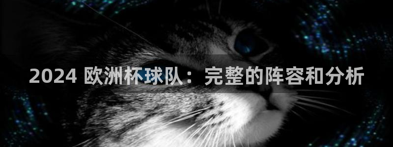 2024正规欧洲杯平台|2024 欧洲杯球队：完整的阵容和分析