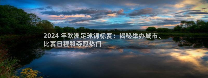 网上哪个平台可以买足球|2024 年欧洲足球锦标赛：揭秘举办城市、
比赛日程和夺冠热门