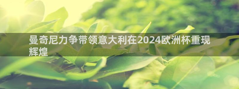 欧洲杯2024下单|曼奇尼力争带领意大利在2024欧洲杯重现
辉煌
