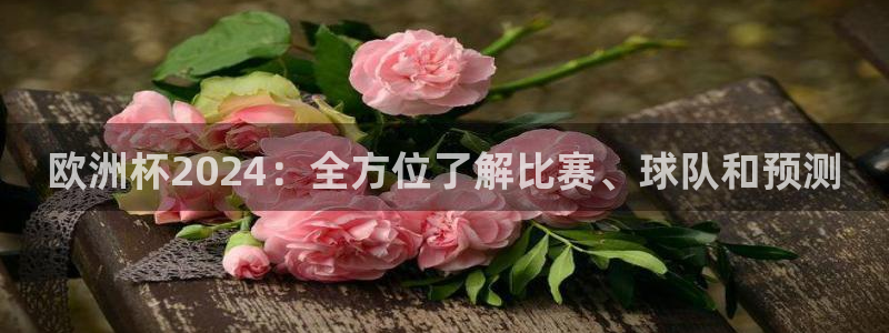 2024年欧洲杯投注