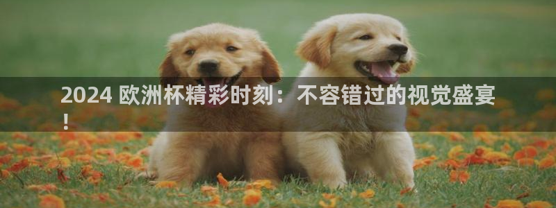 欧洲杯竞猜软件