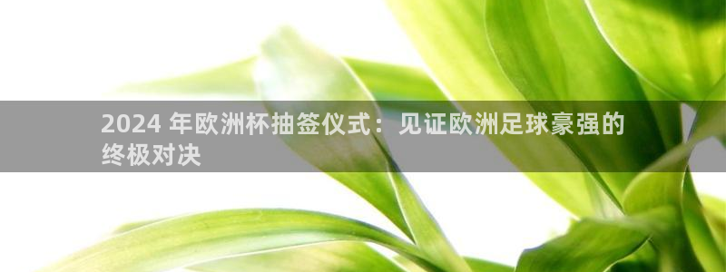 欧洲杯买球手机app|2024 年欧洲杯抽签仪式：见证欧洲足球豪强的
终极对决