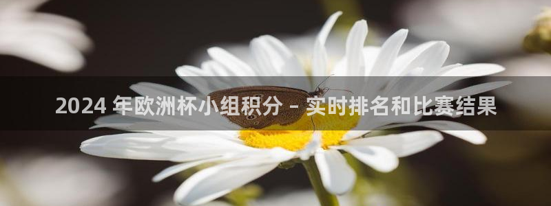 欧洲杯买球手机app|2024 年欧洲杯小组积分 – 实时排名和比赛结果
