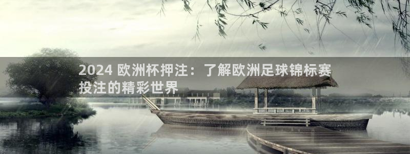 买球平台官方网站|2024 欧洲杯押注：了解欧洲足球锦标赛
投注的精彩世界