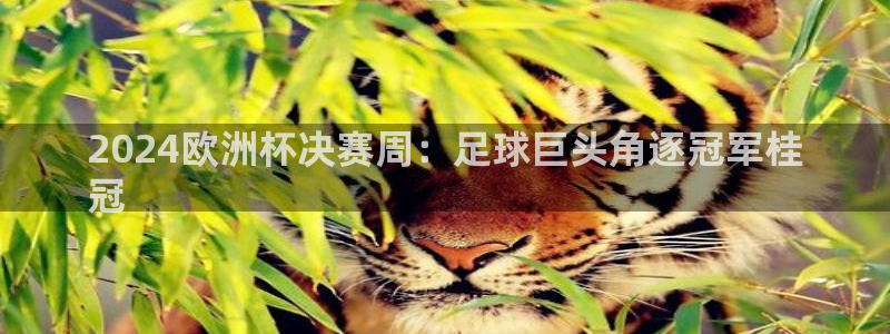 买欧洲杯的竞猜在那个app|2024欧洲杯决赛周：足球巨头角逐冠军桂
冠