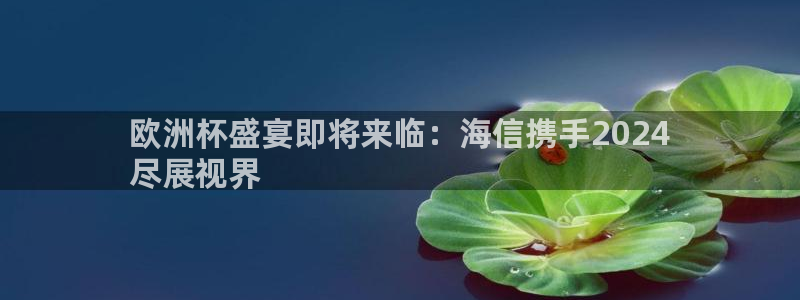 欧洲杯竞猜网站