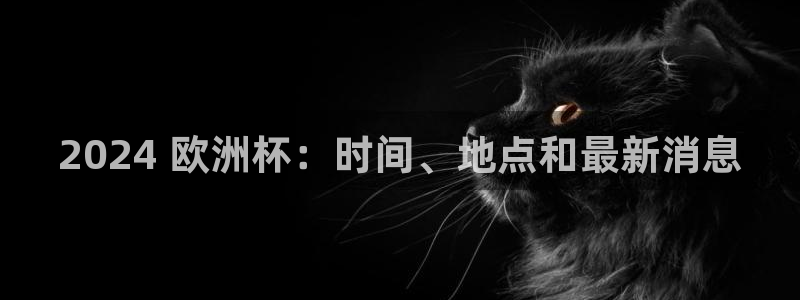 欧洲杯买足球软件