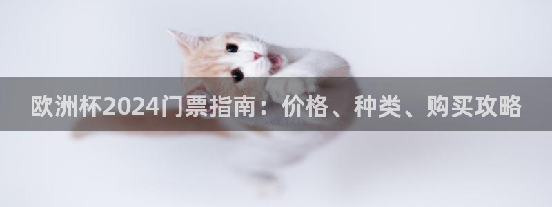 网上哪个平台可以买足球|欧洲杯2024门票指南：价格、种类、购买攻略