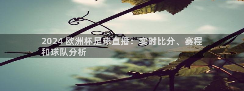欧洲杯买足球软件