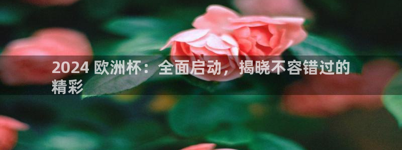 欧洲杯网站|2024 欧洲杯：全面启动，揭晓不容错过的
精彩