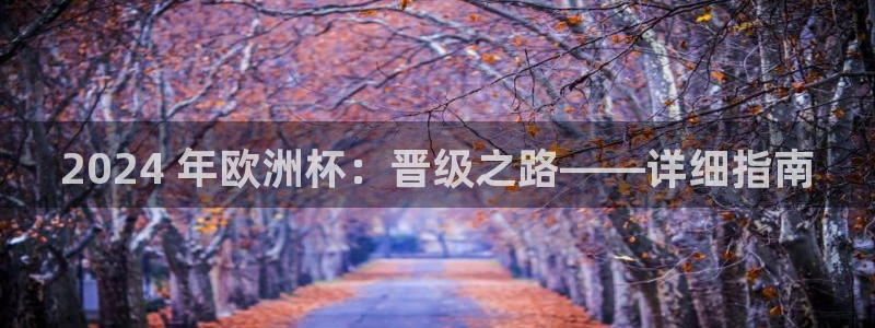 欧洲杯直播平台|2024 年欧洲杯：晋级之路——详细指南