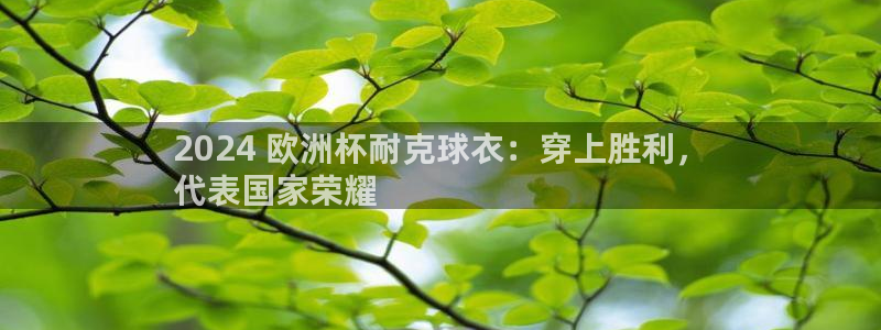 欧洲杯2024下单