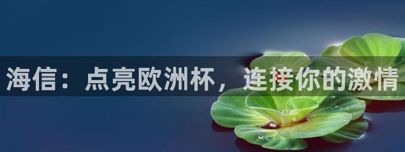 买球平台官方网站|海信：点亮欧洲杯，连接你的激情