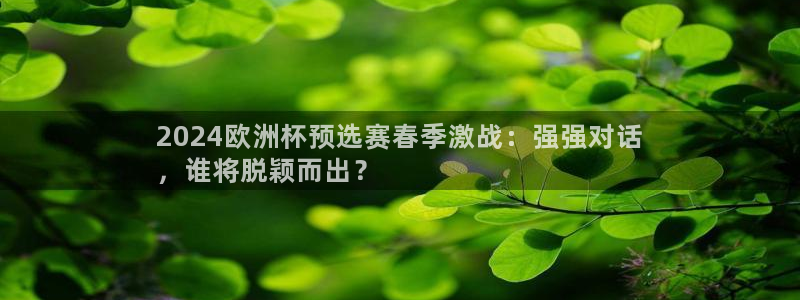 2024欧洲杯买竞猜