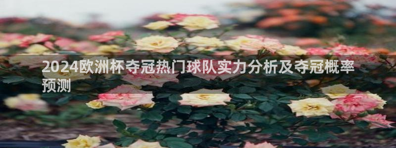 欧洲杯指定投注网站