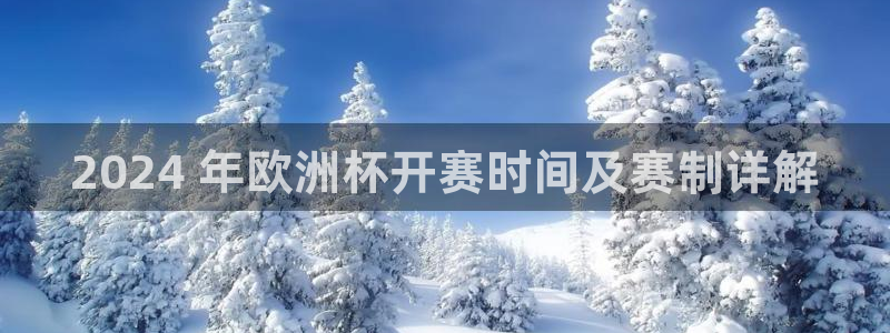 欧洲杯竞猜网站