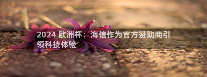 欧洲杯可以买冠亚军吗|2024 欧洲杯：海信作为官方赞助商引
领科技体验