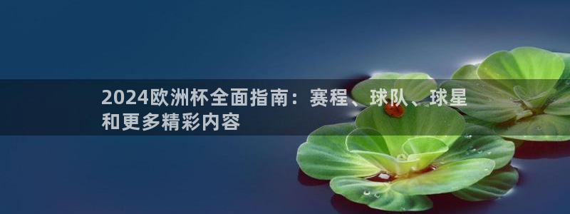 2024年欧洲杯投注|2024欧洲杯全面指南：赛程、球队、球星
和更多精彩内容