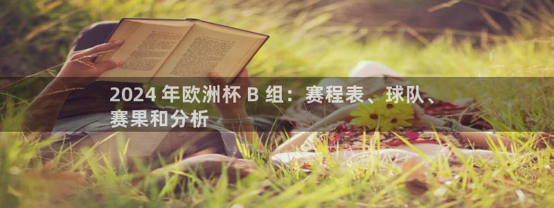 欧洲杯可以买冠亚军吗|2024 年欧洲杯 B 组：赛程表、球队、
赛果和分析