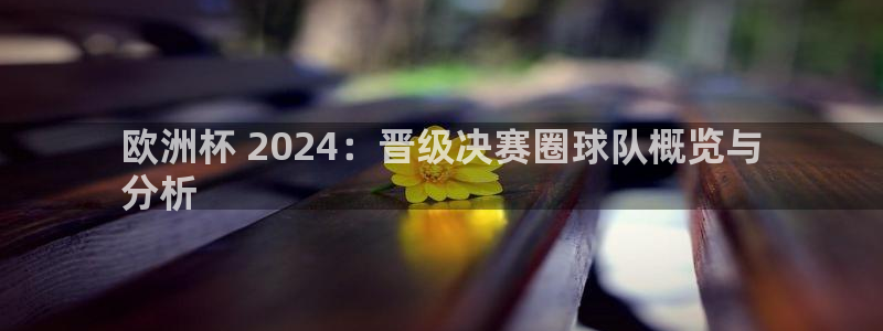 欧洲杯 2024：晋级决赛圈球队概览与
分析