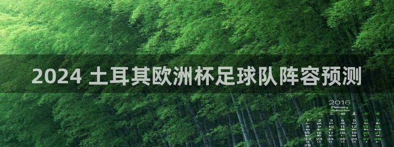 买欧洲杯的竞猜在那个app|2024 土耳其欧洲杯足球队阵容预测