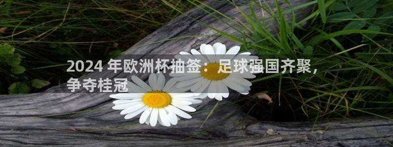 2024 年欧洲杯抽签：足球强国齐聚，
争夺桂冠