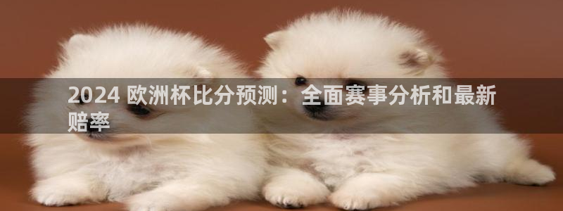 欧洲杯投注推荐网站|2024 欧洲杯比分预测：全面赛事分析和最新
赔率
