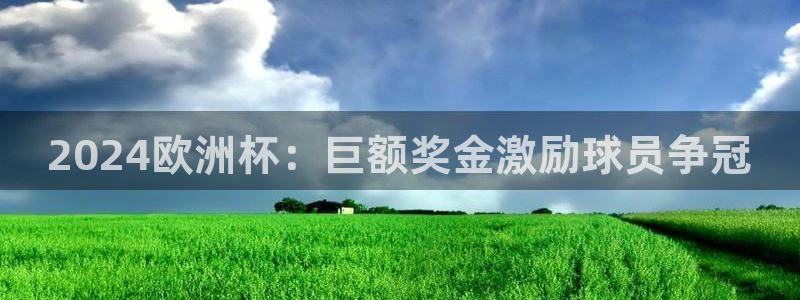 2024年欧洲杯投注|2024欧洲杯：巨额奖金激励球员争冠