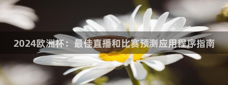 2024欧洲杯竞猜网址|2024欧洲杯：最佳直播和比赛预测应用程序指南