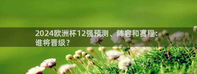 欧洲杯买注在哪买|2024欧洲杯12强预测、阵容和赛程：
谁将晋级？
