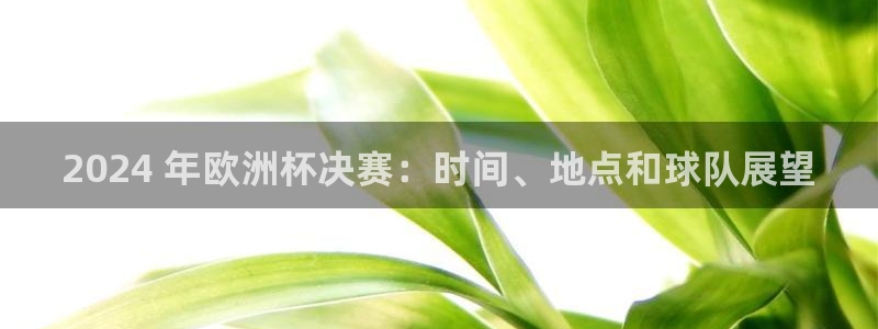 欧洲杯下单平台官方网站|2024 年欧洲杯决赛：时间、地点和球队展望