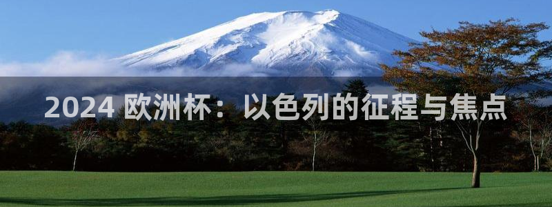 欧洲杯投注在哪找网址|2024 欧洲杯：以色列的征程与焦点