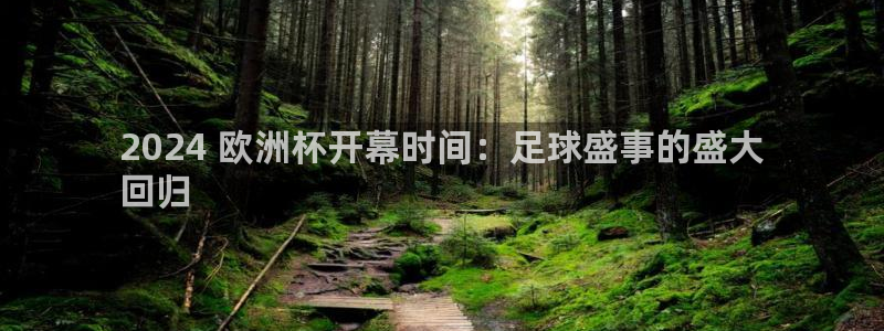 放心购买足球平台|2024 欧洲杯开幕时间：足球盛事的盛大
回归