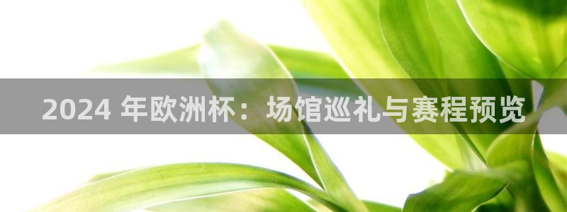 2024欧洲杯押注官网