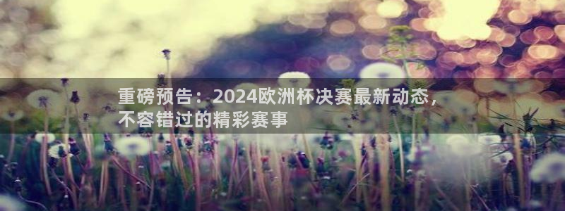 welcome欧洲杯开户|重磅预告：2024欧洲杯决赛最新动态，
不容错过的精彩赛事