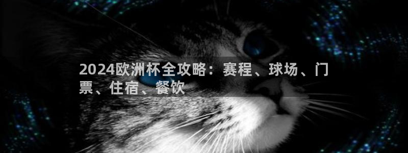 欧洲杯直播平台|2024欧洲杯全攻略：赛程、球场、门
票、住宿、餐饮