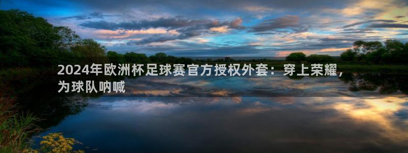 欧洲杯在哪个网站购买|2024年欧洲杯足球赛官方授权外套：穿上荣耀，
为球队呐喊