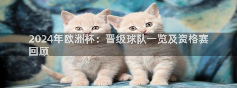 欧洲杯下赌注平台|2024年欧洲杯：晋级球队一览及资格赛
回顾