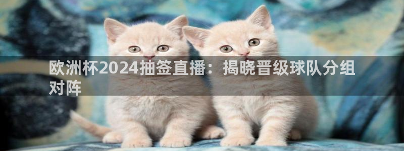 买足球平台哪个比较好|欧洲杯2024抽签直播：揭晓晋级球队分组
对阵
