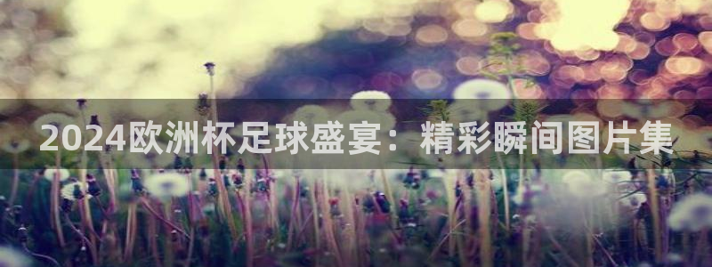 欧洲杯竞猜手机app推荐|2024欧洲杯足球盛宴：精彩瞬间图片集