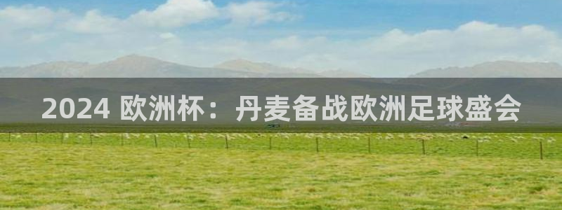 十大靠谱外围买球网站|2024 欧洲杯：丹麦备战欧洲足球盛会